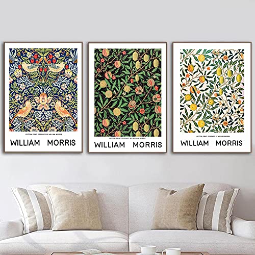 Vintage Fruit Art Prints William Morris Floral Poster Strawberry Thieves Pattern Canvas Nordic Wall Pictures Room Decor 30x45cm-3Pieces Frameless von SDVIB