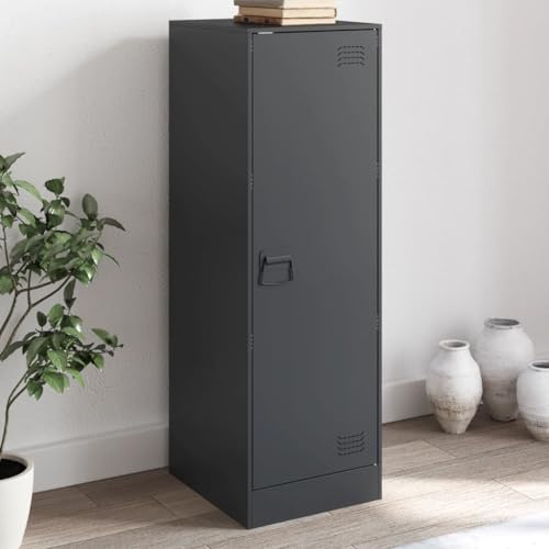 Metallschrank Wohnzimmerschrank Aktenschrank Werkstattschrank mit 1 Tür und 3 Ablagen, Mehrzweckschrank Metall Sideboard für Wohnzimmer, Anthrazit 34,5x39x107 cm von SDWEHO7
