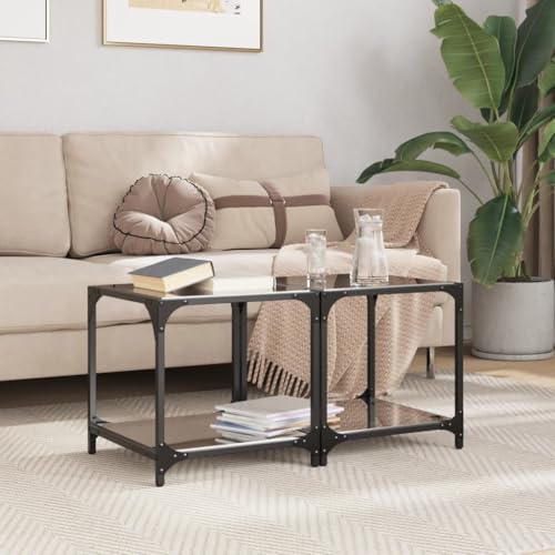 SDWEHO7 Couchtische mit Glasplatte und Ablage Glas 2er Set, Sofatisch, Beistelltisch, für Wohnzimmer, Büro, Schlafzimmer, pflegeleicht, Schwarz 40x40x40 cm Stahl SDWEHO7 Couchtische mit Glasplatte und Ablage Glas 2er Set, Sofatisch, Beistelltisch, für Wohnzimmer, Büro, Schlafzimmer, pflegeleicht, Schwarz 40x40x40 cm Stahl von SDWEHO7