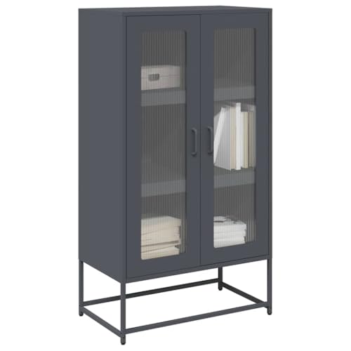 SDWEHO7 Modernes Sideboard, Metall Kommode mit 6 Fächern und 2 Türen, Flurschrank Wohnzimmerschrank Beistellschrank für Schlafzimmer Wohnzimmer, Anthrazit 68x39x123 cm Stahl von SDWEHO7
