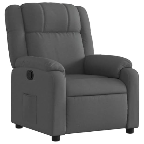 SDWEHO7 Relaxsessel, Fernsehsessel mit Verstellbare Rückenlehne, Polstersessel mit Seitentasche für Wohnzimmer, Schlafzimmer, 77x95x99 cm Dunkelgrau Stoff SDWEHO7 Relaxsessel, Fernsehsessel mit Verstellbare Rückenlehne, Polstersessel mit Seitentasche für Wohnzimmer, Schlafzimmer, 77x95x99 cm Dunkelgrau Stoff von SDWEHO7