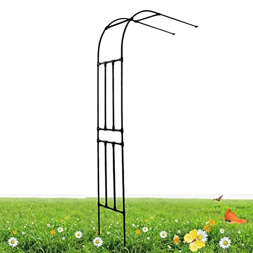 SDdPulse Halber Metall-Gartenbogen - Halber Seitenwandbogen Rankgitter - Wetterfester Gartenbogen für Draußen, Hof, Terrasse/Balkon (Schwarz, 0.75 x 2.67 x 0.5 m) von SDdPulse