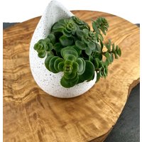 Toller Übertopf Tropfenförmig Schwer Weiß, Gesprenkelt, Sukkulenten Und Kleine Pflanzen, Mini-Pflanztopf Geschenk Unter 20 Euro Wie Beton von SDiesign