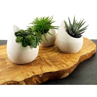 Übertopf in Tropfenform Aus Jesmonite 2 Ausführungen Für Sukkulenten Und Kleine Pflanzen, Mini-Pflanztopf Hübsches Geschenk Betonähnlich von SDiesign