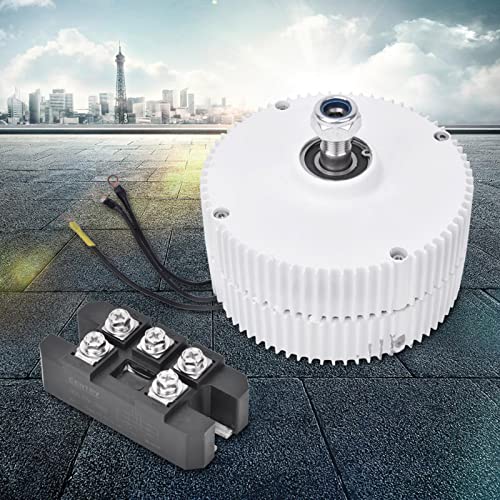 Elektromotor Generator, 3-Phasen Lichtmaschine Permanentmagnet Elektromotor Generator DIY Synchrongenerator für Windkraftanlage, NE-300 [24V Motor] (12V-Motor + Gleichrichter) von SEAFRONT