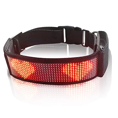 LED Hundehalsband Breit Große, Programmierbar Wiederaufladbar Hunde Leuchthalsband, Einfarbig Leuchtendes Halsband, Sicherheits Blinklicht für meisten Hunde, Mobile BT Übertragung LED Hundehalsband Breit Große, Programmierbar Wiederaufladbar Hunde Leuchthalsband, Einfarbig Leuchtendes Halsband, Sicherheits Blinklicht für meisten Hunde, Mobile BT Übertragung von SEAFRONT