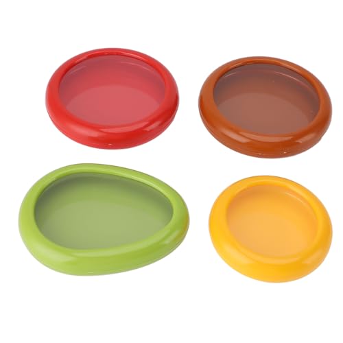 SEAFRONT ABS -Silikonfilm -Obst Lagerbehälter Einfach zu Warten, Geeignet für Obst Gemüse Snacks [4pcs] von SEAFRONT