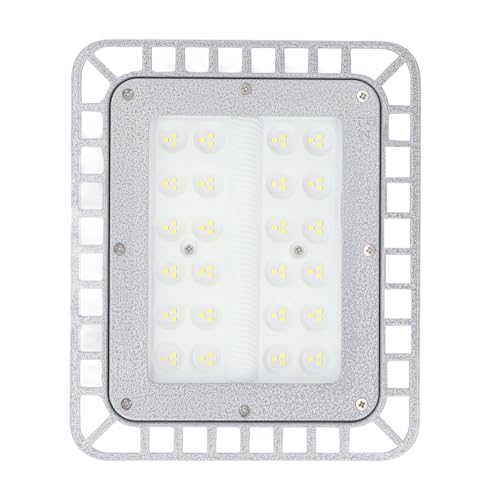 SEAFRONT Explosionssicheres Licht 50W mit Ip66 Wasserdacht, Aluminiumlegierung Industrial LED Dock Light, Fabriklagerlicht für Große Lagerhäuser von SEAFRONT