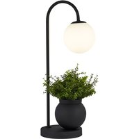 [NEUWERTIG] B-Ware Searchlight Tischleuchte X Lunar Blumentopf Dekoleuchte Tischlampe G9 Dekolampe von SEARCHLIGHT