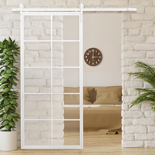 SEART Weiß Loft-Glasschiebetür, Tür mit Sprossen, Metallrahmen, montiert Tivoli (Transparentes Glas, 100x210) von SEART