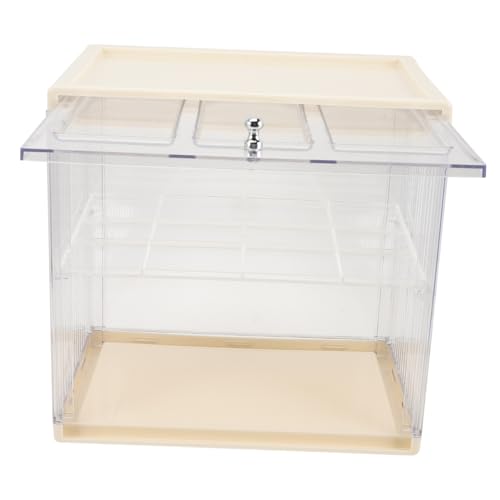 SECFOU Transparenter Acryl Becherhalter Doppelstöckiges Aufbewahrungsregal für Wasser Kaffeetassen Staubdichtes Platzsparendes Küchen Schreibtisch organizer Regal von SECFOU