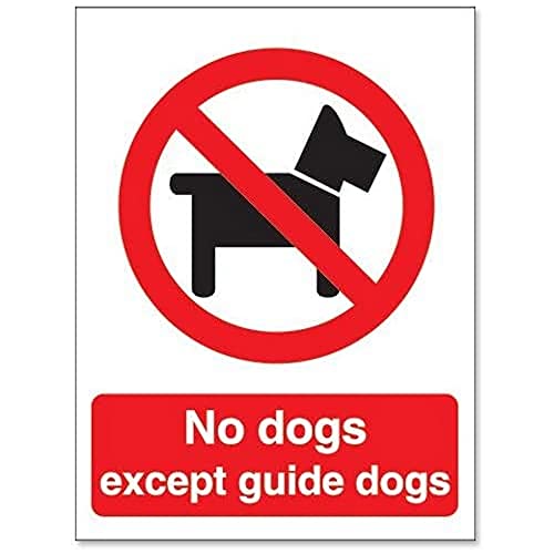 Seco Schild mit Aufschrift "No Dogs Except Guide Dogs", 200 x 300 mm, 1 mm, halbstarrer Kunststoff Seco Schild mit Aufschrift "No Dogs Except Guide Dogs", 200 x 300 mm, 1 mm, halbstarrer Kunststoff von SECO