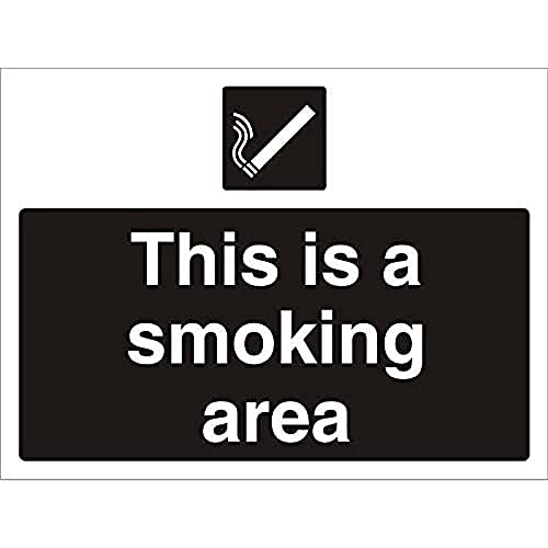 Seco Schild "This is A Smoking Area", 400 mm x 300 mm, 4 mm geriffelte Tafel von SECO