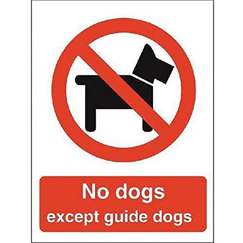 Seco Schild mit Aufschrift "No Dogs Except Guide Dogs", 150 x 200 mm, selbstklebendes Vinyl von Stewart Superior