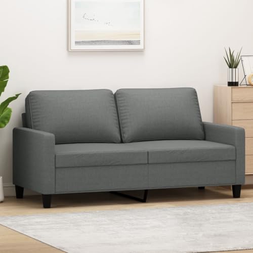 SECOLI 2 Sitzer Sofa, Stoff Kleines Couch, Modern 2er Gästesofa mit Armlehne, Sofa 2 Seater, Couch 2 sitzerfür Wohnzimmer/Schlafzimmer/Büro/Wohnung, 140 cm,Dunkelgrau von SECOLI