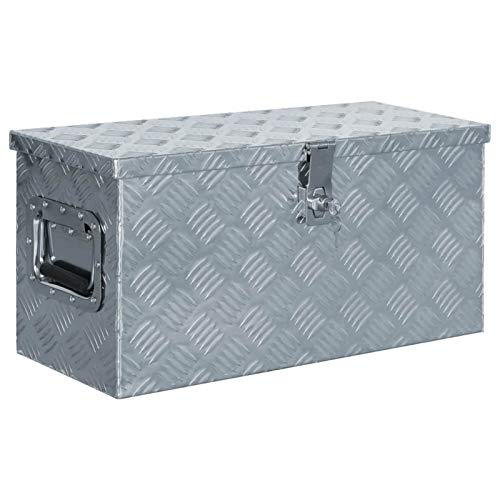 SECOLI Aluminiumkiste Alu Box Koffer Werkzeugbox Transportkiste Anhängerbox Deichselbox BoxentypAluminium box mit Schloss metallkiste-Silber-61.5 x 26.5 x 30 cm von SECOLI