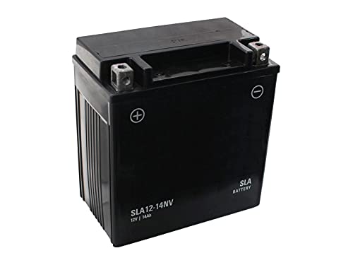 SECURA Batterie 12V 14Ah kompatibel mit McCulloch M185-107TC 960510116 Rasentraktor von SECURA