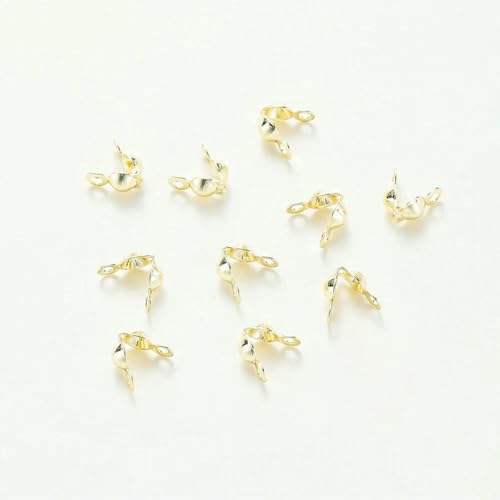 14K 18K Echtgold plattiert Doppelloch-Endverschlussperlen Offene Abdeckung Crimp-Verbindungsperlen für DIY-Schmuckherstellung Halskettenkomponente-14K Gold-4,0 mm x 10 von SEDRGH