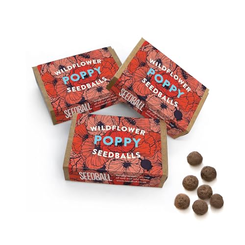 SEEDBALL Wildblumen-Mohn-Samenkugeln (3er-Pack) - 6 Samen pro Dose | Wunderschöner roter von SEEDBALL