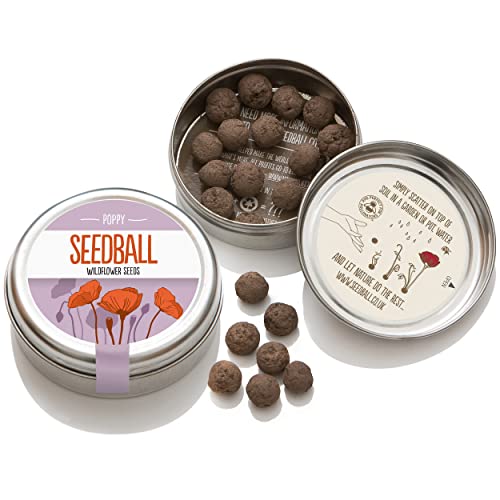 Samenbälle SEEDBALLs Wunderschöne Rote KLATSCHMOHN Samenkugeln. Ganz Rein Rot. Ein Tolles GESCHENK Für Den GARTEN Und Zuhause. von SEEDBALL