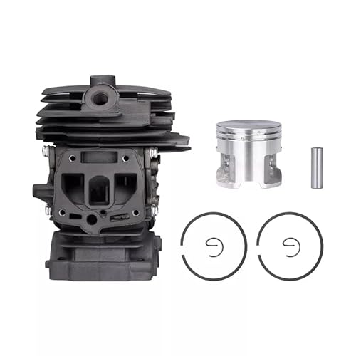 SEEDDFF 1 Satz Benzin-Kettensägen-Zylinder-Kolbenringstift-Sicherungsring-Kit passend for Stihl MS251 MS 251 Kettensägenzubehör Gartengeräte (Color : Cylinder Piston Kit) von SEEDDFF
