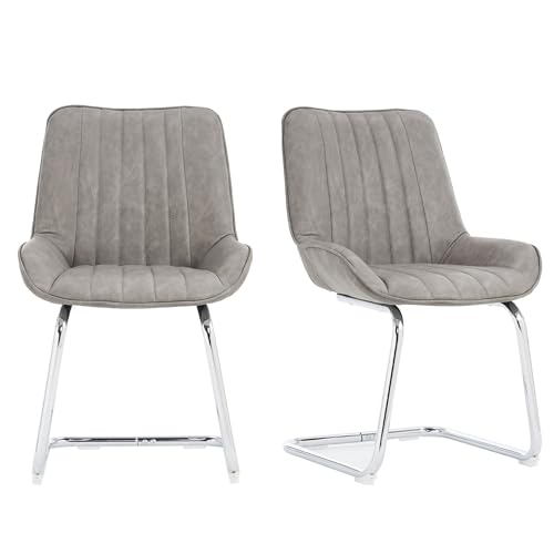 SEEDWAVE Freischwinger 2er Set, Ergonomisch Gepolstert mit PU-Bezug, Robuste Stahlbeine, rutschfest, Vertikale Ziernähte, Leicht Aufzubauen, Modernes Design (Grau) von SEEDWAVE