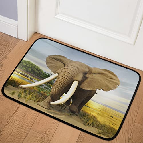 SEEKJOYS Stilvoller Teppich mit Elefantenmuster, niedliches Raumdekor, 61 x 91,4 cm, maschinenwaschbar, weicher Teppich, Wildelefantenbodenteppich für Eingang, Küche, Schlafzimmer, Badezimmer von SEEKJOYS