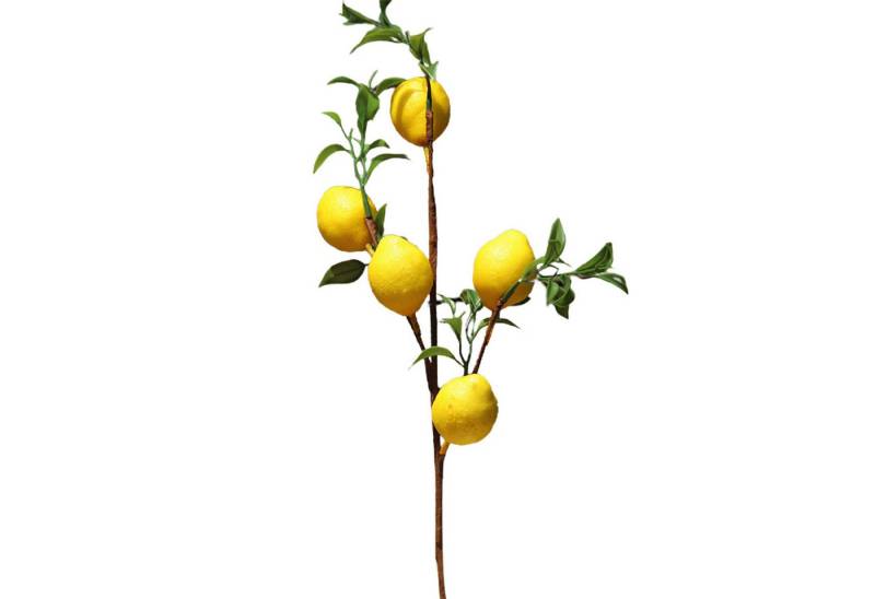 Kunstzweig Künstlicher Zitronenzweig,5 Künstliche Zitrone mit grünen Blättern, SEEZSSA, Kunstbaum künstlicher Zitronenbaum Dekopflanze Zitrone, 50cm Länge von SEEZSSA