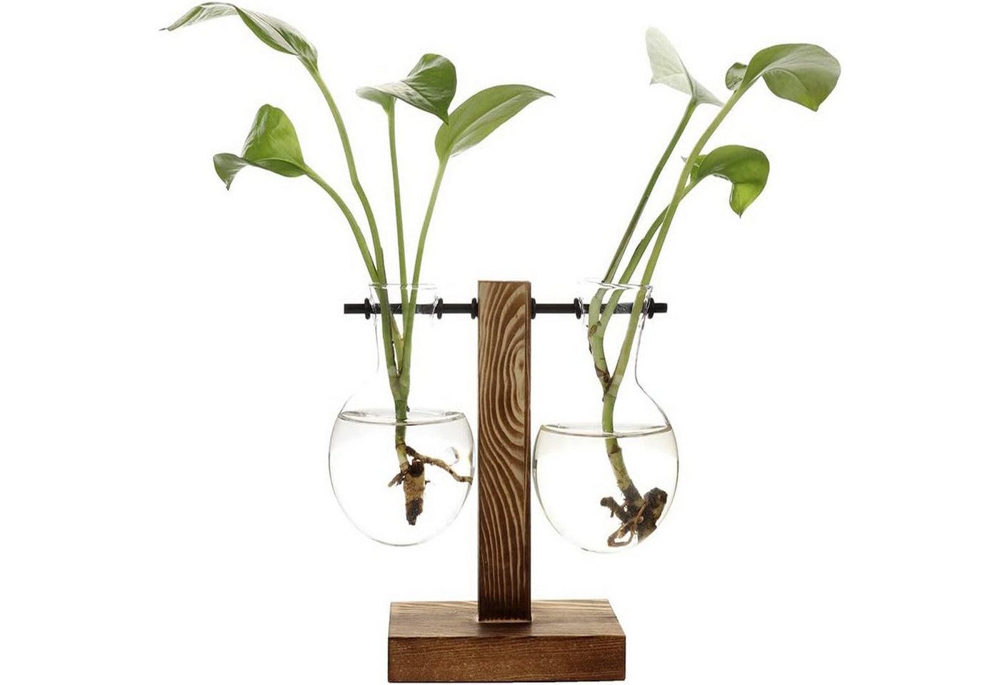 SEEZSSA Dekovase Hydrokultur-Pflanzvase,Transparente Vase mit Holzrahmen,Deko A/B/C, Tischpflanzglas für Zuhause,Bonsai, Deko,11,5 x 13,5&11,5 x 19,5 cm von SEEZSSA