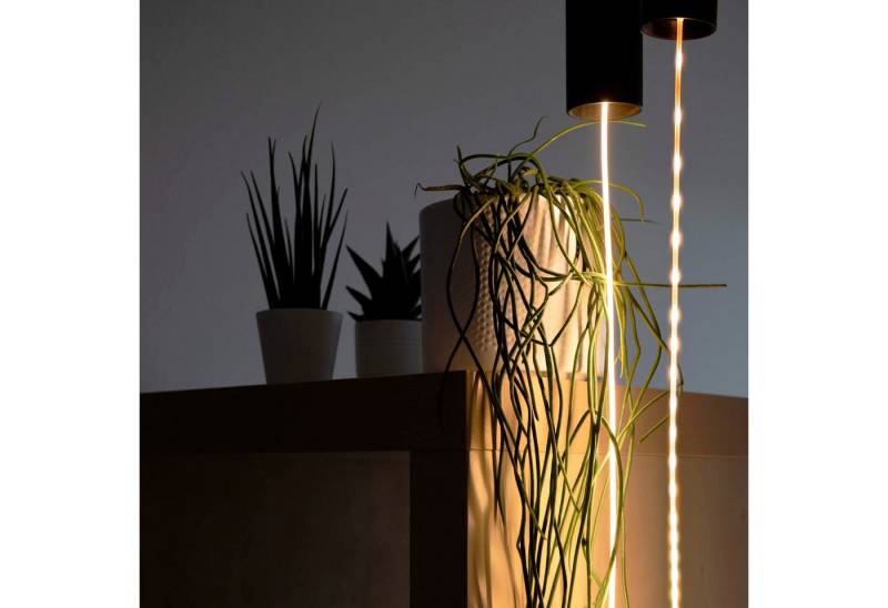 SEGULA LED-Leuchtmittel LED Artline Straight 60, E27, 1 St., Extra-Warmweiß, für vertikal fließende Lichtinstallationen von SEGULA