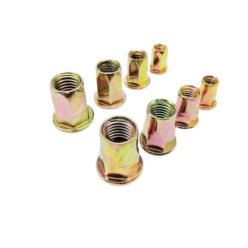 5/10/20 Stück M4 M5 M6 M8 M10 M12 Kohlenstoffstahl Sechskant Flachkopf Bindung Nietmutter Einsatz Nutsert Metrisches Gewinde(Full hex Head,20pcs M6) von SEIDER