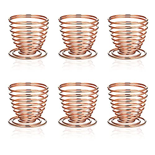 Edelstahl Luftpflanzenständer, Tillandsien Luftpflanzenhalter, Spirale Luftpflanzenbehälter, Mini Kaktus Display Ständer, Home und Office Dekoration, 6 Stück, Rosegold von SEIWEI