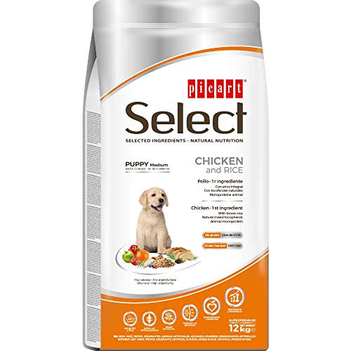 SELECT Picard Welpe Medium Huhn & Reis 12 kg von SELECT