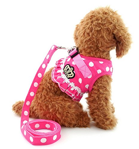 selmai Puppy klein Katze Mädchen Hund Vest Dots Harness Leine-Set Mesh Gepolsterte kein Ziehen Blei von SELMAI