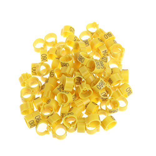 100pcs Hühnervogelbeinringe Vögel Identifikationsbänder Geflügelklammelringe 10 Mm Für Tauben Wachtender Parrot Toys African Grey Kleine Papageien Große Vögel Conure Macaw Set von SELVFZ