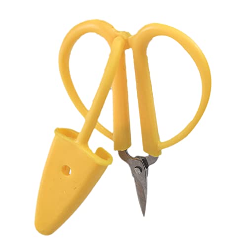 Premium Kleine Haushaltsstrimmer Schere Einfache Studentische Handwerksschere Komfort Edelstahl Schere Kleine Papierhandwerksschere Für Erwachsene Kinder Premium Kleine Haushaltsstrimmer Schere Einfache Studentische Handwerksschere Komfort Edelstahl Schere Kleine Papierhandwerksschere Für Erwachsene Kinder von SELVFZ