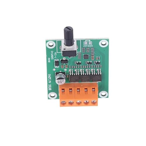SELVFZ Bürstenloser Motorantriebsbrettmotor Speed ​​Controller DC6-24V Motor Unterstützung 2-5s Stromversorgung von SELVFZ