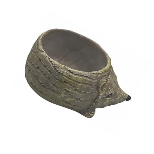 SELVFZ Cartoon Tierharz Pflanzer Für Sukkulenten Innenkanäle Blumentöpfe Pflanzenhalter Für Haus Und Bürodekoration Handbemalter Pflanzer von SELVFZ