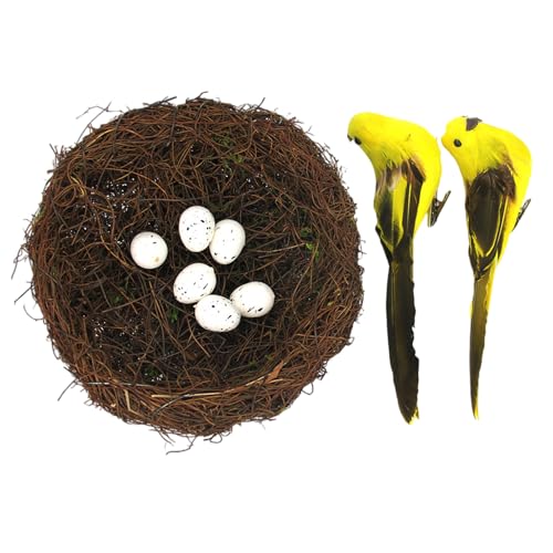 SELVFZ Dekoratives Nest Aus Handgefertigt Von Rattan Mit Vögeln Eiern Für Tischplatten Arrangements Home Party Photo Inszenierung Home SELVFZ Dekoratives Nest Aus Handgefertigt Von Rattan Mit Vögeln Eiern Für Tischplatten Arrangements Home Party Photo Inszenierung Home von SELVFZ