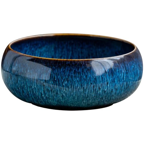 SELVFZ Große Keramikpflanztöpfe Wasserpflanze Innen Und Außenverwendung Perfekt Für Hydroponische Kultivierung Dekorativen Pflanzentopf von SELVFZ