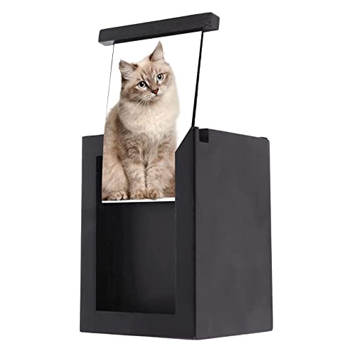 SELVFZ Hundeurne Für Asche Pet Urne Gedenkbox Mit Speicher Fotorahmen Bild Holz Andenken Einäscherung Urnen Für Katzen Haustier Urne Mit Bild SELVFZ Hundeurne Für Asche Pet Urne Gedenkbox Mit Speicher Fotorahmen Bild Holz Andenken Einäscherung Urnen Für Katzen Haustier Urne Mit Bild von SELVFZ