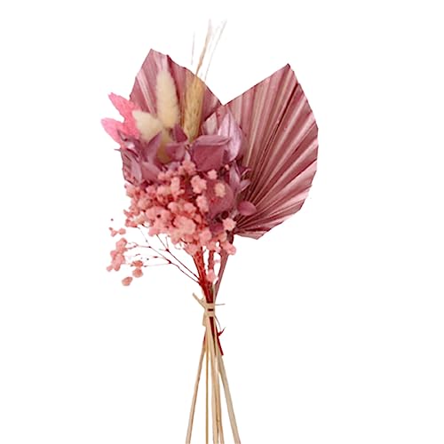 Trockenblumen Fächer Blumenarrangement Multifunktions Handwerk Haushalt Für Anfänger Starter Basteln Praktische Kunstblume von SELiLe