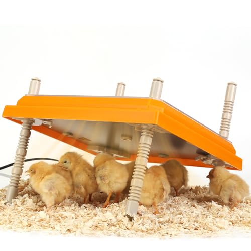 Wärmeplatte für Küken: Küken-Brooder-Heizplatte mit leicht zu reinigender Platte Geflügelstall-Heizung Kükenwärmer 10" x 10" für 15 Küken verstellbare Höhe Brutheizung 15 Watt von SEMEDOYO