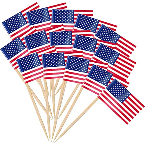 Flaggen Spieße,Zahnstocher mit Flagge,Cocktail Stick Flaggen,Zahnstocher Papier Flagge,Flagge Zahnstocher,für Sandwiches,Cupcakes,Geschirr-Dekorationen,100 Stück (USA) von SEMINISMAR