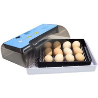 12Eier Brutautomat Brutmaschine Brutapparat Inkubator Brutautomat mit Beobachtungsfenster Vollautomatisch 12Eier Brutautomat Brutmaschine Brutapparat Inkubator Brutautomat mit Beobachtungsfenster Vollautomatisch von SENDERPICK