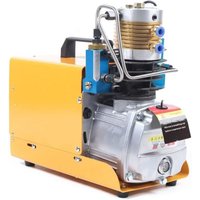 Senderpick - pcp Hochdruckluftpumpe 30 Mpa 300 Bar 4500 psi Elektrischer Luftkompressor Pumpe Hochdruckluftkompressor Pumpe für Paintball- und von SENDERPICK