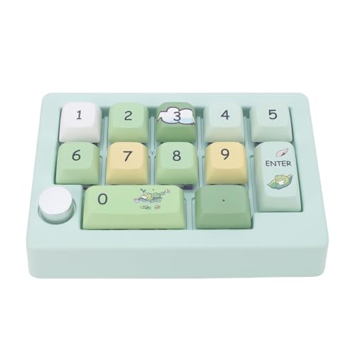 SENECESLI 12 Taste Mechanische Gaming -Tastatur, Programmierbare Makro -Tastatur mit 3 -Modus mit 3 -Modus -Konnektivität, 12 RGB -Modi (Green) von SENECESLI