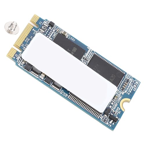 SENECESLI M.2 2242 SSD, Interne Feststoffdatenübertragung Sicherer Sicherer Safe mit PC -Desktop -Schraube (Ql) von SENECESLI