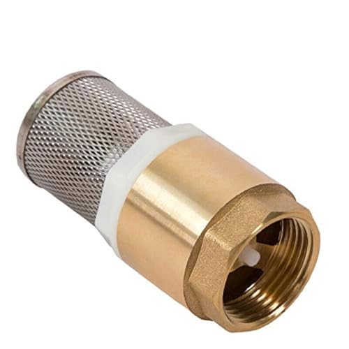 Fußventil 2,5 cm BSP Messing Rückschlagventil Feder Rückschlagventil Pumpe Einlass Filtersieb für Pumpe (1 Stück) von SENRISE