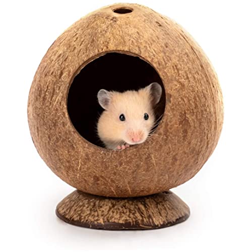 Coconut Hut Hamster House Bed for Gerbils Mice Small Animal Cage Habitat Decor von SENRN